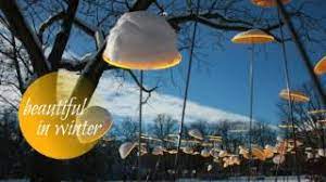 Cazador Del Sol Sunshine For Your Soul Youtube