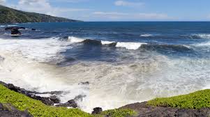 Image result for Kuloa