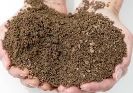 I have clayish soil and was told adding sand would help it out alot, but wasnt really told what kind of sand, or if the same sand can be added when potting the sand used to amend some soil is what's called builders sand.you can find it at home depot and lowes and probably other garden centers. 6 Types Of Soil How To Make The Most Of Your Garden Soil