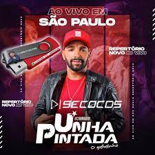 Abaixar musio unha pintada2021 : Unha Pintada Ao Vivo Sao Paulo Musicas Novas 2021 Seco Cds