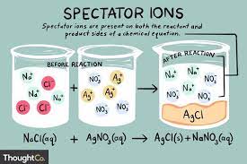 What Spectator Ions Are And Why They Are Important Periodic Table Words How To Memorize Things Chemical Equation