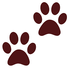 Dog Paw Print Png Image Dog Paw Print Dog Paws Paw Print