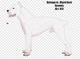 Dogo Argentino Cordoba Fighting Dog Old English Terrier Dog Breed Guatemalan Dogo Mammal Carnivoran Png Pngegg