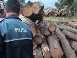 126 din 17 noiembrie 1990 emitent: 15 InfracÅ£iuni Silvice Constatate In Urma A Peste 130 De Controale