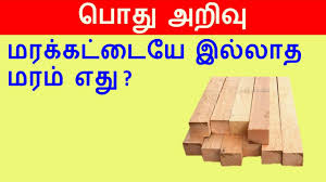 Among major states, tamil nadu continues to be the most urbanized state with 48.4 percent of the population living in urban areas followed now by kerala (47.7 per cent) upstaging maharashtra (45.2 percent). Common General Knowledge Questions And Answers In Tamil Tamil General Knowledge Questions And Answers General Check Gk Questions Answers General Knowledge Quiz General Studies General Awareness For