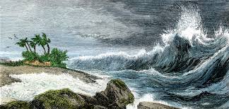 Paleotsunami Detectives Hunt for Ancient Disasters | Hakai Magazine