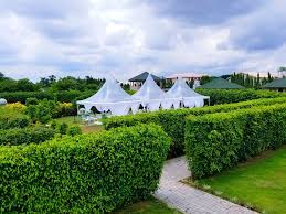 I love the sport and when a match ends the first thing you announce is the result. Palme D Or Gardens Home Facebook