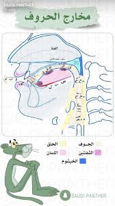 عربي ‎, arabī), and mu'arrab (معرب), refer to the romanized alphabets for informal arabic dialects in which arabic script is transcribed or encoded into a combination of latin script and arabic numerals. How To Read Arabic Letters Arxiusarquitectura