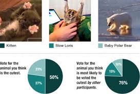 Ranking Cute Animals A Stock Market Experiment Animals Cute Animals Stock Market