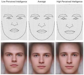 Facial morphs associated with perceived intelligence from the NIH/PMC study, AI generated