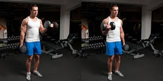 Standing Dumbbell Curl