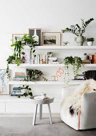 Bunga plastik kresek hiasan ruang tamu |diy how to make very pretty flowers from a plastic bag. 8 Ide Mendekorasi Ruang Tamu Dengan Tanaman Hias Arsitag