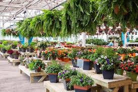 Explore better homes & gardens. Petitti Garden Centers Home Garden Center Plant Nursery