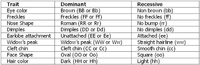 Dominant Vs Recessive Genes Chart Nose Shapes Infant