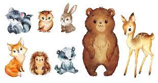 Watercolor Woodland Animals Clipart Forest Animals Clip Art Etsy Forest Animals Illustration Animal Drawings Animal Illustration