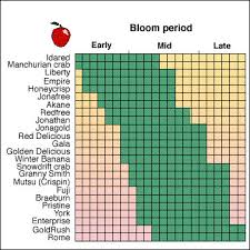 28 paradigmatic fruit tree pollinators chart