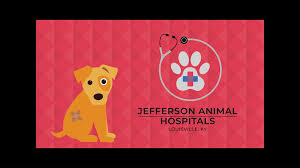 Deck veterinary clinic, a medical group practice located in louisville, ky. Yb3vg1qzs0inbm