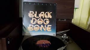 The tracks hiburkan hatimu and tak senang from the original album was omitted. Black Dog Bone Khayalan Fantasy Youtube