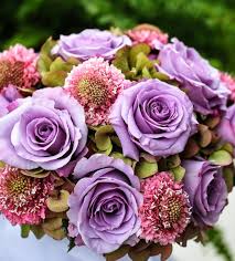 We did not find results for: Eileen Dempsey Florist Wholesaler Forever Blossoms Floral Designs Linkedin