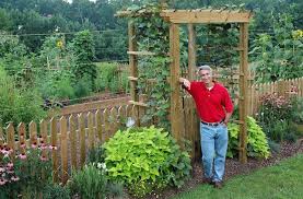 How to create a raised vegetable garden. Raised Bed Garden From A Z What To Know Joe Gardener