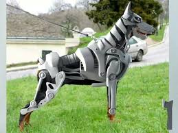 Maybe you would like to learn more about one of these? Doberman Pinscher Loyal And Fearless Dog Halloween Costumes Dog Halloween Doberman