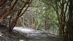 From the beachfront hikes in the outerbanks to the rigorous mountain trails that will take you high above the treetops, north carolina is pretty spoiled when it comes to hiking trails. Boone Fork Trail The Art Of The Hike