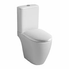 epingle sur toilettes