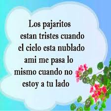 Poemas De Amor Para Dedicar Poema Cortos De Amor Poemas Para Mi Novio Mejores Poemas De Amor
