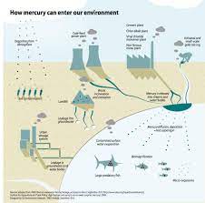 So, how do we get mercury in water? How Mercury Can Enter Our Environment Grid Arendal