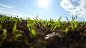Image result for Soil Health
