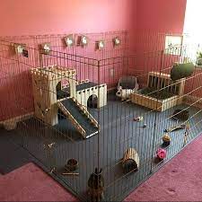 Bunny Castle And Fort Heart Design Pet Bunny Rabbits Bunny Cages Rabbit Enclosure