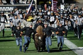Image result for colorado football