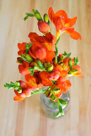 Pin On February Wedding Flowers In Season Uk Winter Spring Inspiration