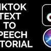 You can save text as a wav, wma, mp3, or in ogg file format. 1
