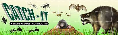 Is a fast growing animal and pest control firm looking. Olathe Ks Animal Removal Wildlife Control