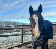 2024 is job done. It...