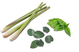 Manfaat rebusan sereh dan jahe manfaat rebusan sereh dan jahe. Tips Masak Menggunakan Serai Hingga Daun Jeruk Bikin Makanan Jadi Lebih Beraroma Semua Halaman Sajian Sedap
