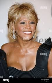 Hotel whitney hi-res stock photography and images