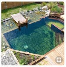 Pin By Jeff Simon On Pond Backyard Pool Garden Pond Design Small Pool Design