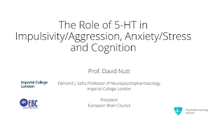 Merrill , md, phd, psychiatrist and director of the pacific neuroscience institute's pacific brain health center at providence saint john's health center. The Role Of Serotonin 5 Ht In Impulsivity Aggression Anxiety Stress And Cognition Youtube