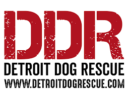 Dogs over 6 months old: Detroit Dog Rescue Detroit S First No Kill Shelter Adopt A Detroit Dog