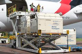 Jun 23, 2021 · juli mit einem speziellen pferdetransport nach tokio geflogen werden. Pferde Fliegen Nach Rio De Janeiro