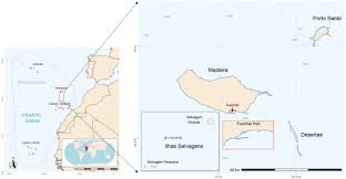 En agradecimiento a kabier y jasonafex por habernos proporcionados los archivos psd dado que les agrado nuestro trabajo anterior con el mejor amigo del hombre con beneficios. Exploring Marine Invasions Connectivity In A Ne Atlantic Island Through The Lens Of Historical Maritime Traffic Patterns Sciencedirect