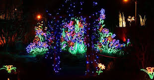 River Of Lights Biopark In Albuquerque Nm Mexico Christmas Christmas Display New Mexican