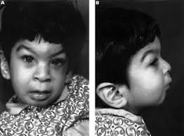 Letters to the Editor