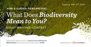 Maybe you would like to learn more about one of these? Abmi Essay Writing Contest