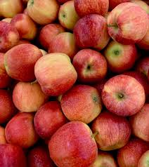 Learn more about the cultivation, nutrition, and uses of apples. Salix Fruits Top Quality Fruit Import And Export Company