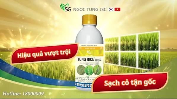 Tung rice 300EC