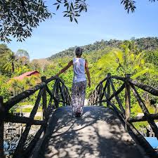 Malaysia has lots of interesting places to visit without having to rob the bank. Backpacking Malaysia Most Extensive Guide 2020 Hostelworld