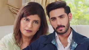 Jalse Main Log Aik Plate Biryani Aur 1000 Rupay Kay Liye Aien Ge?